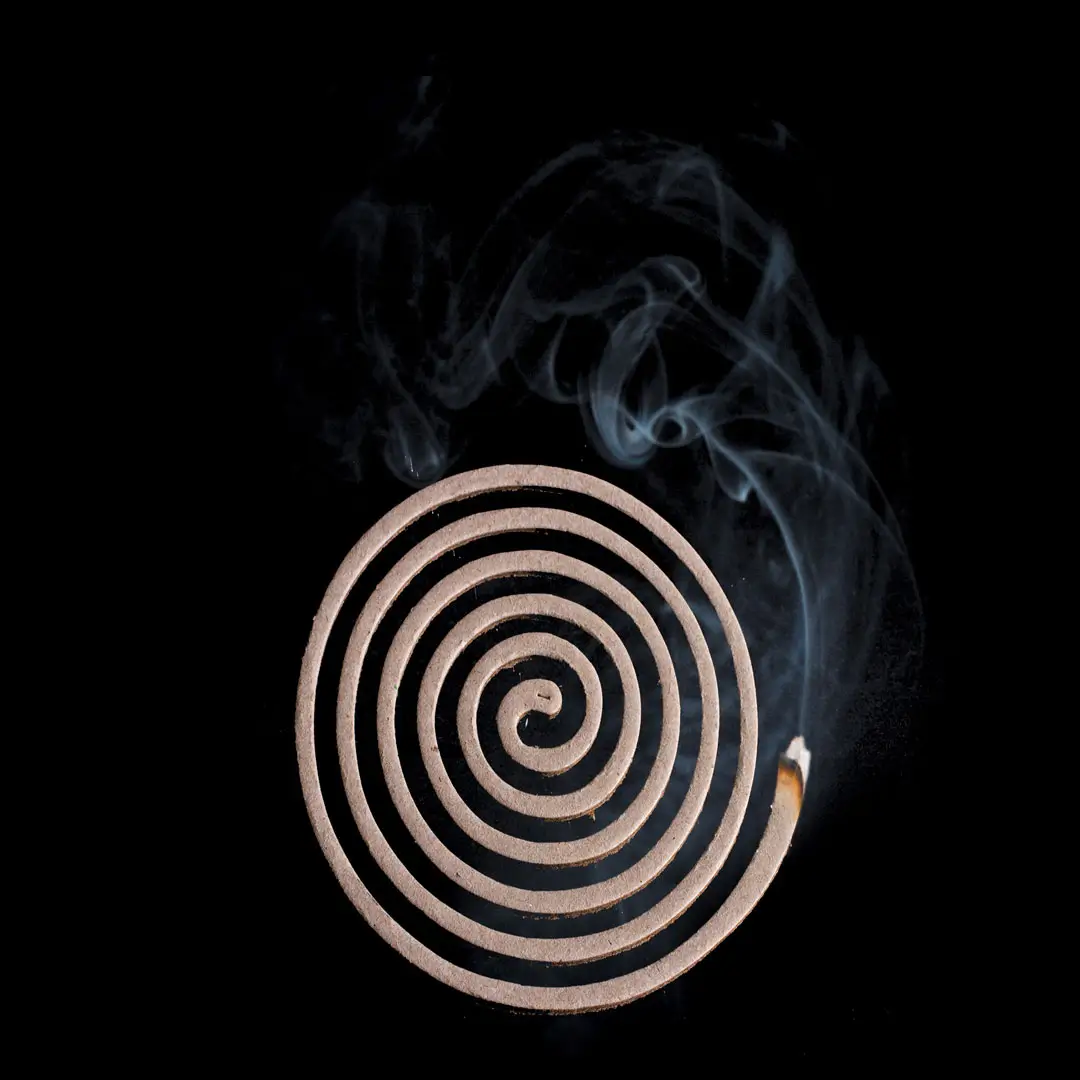 Lifesystems Insect Repellent Smoke Coils - Image 4