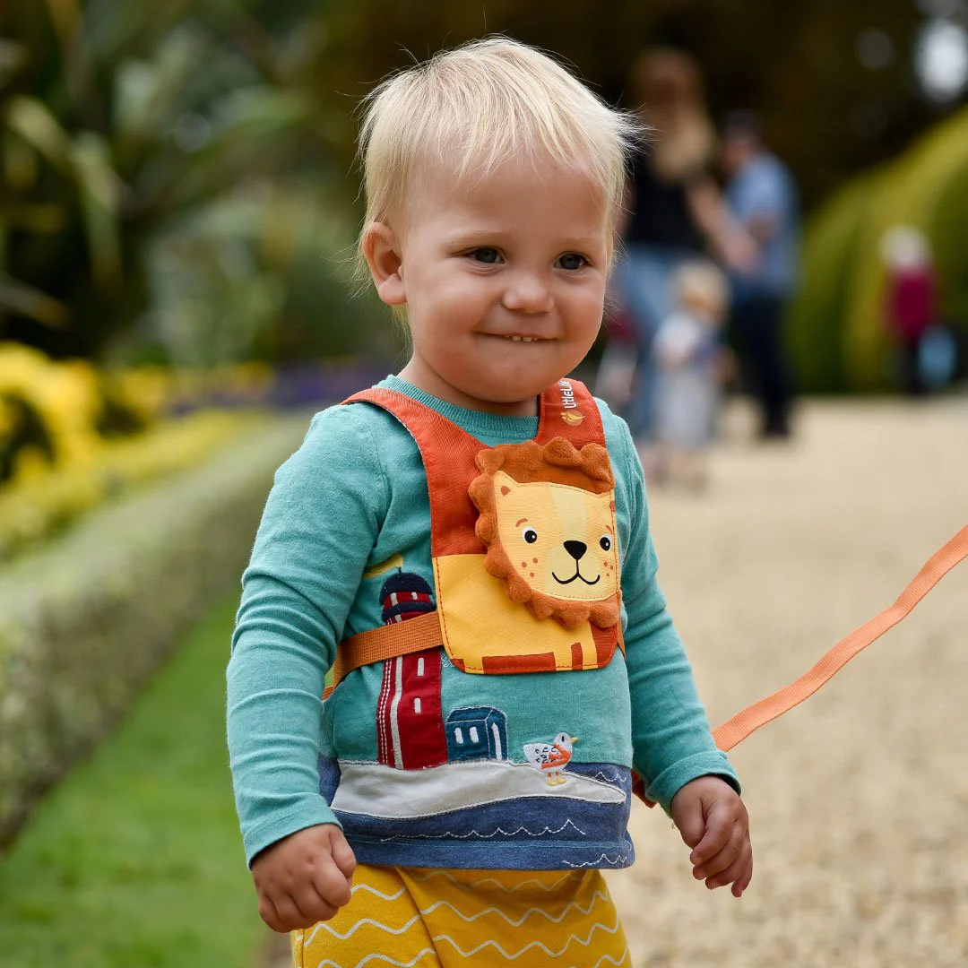 Littlelife Lion Toddler Safety Reins - Image 4