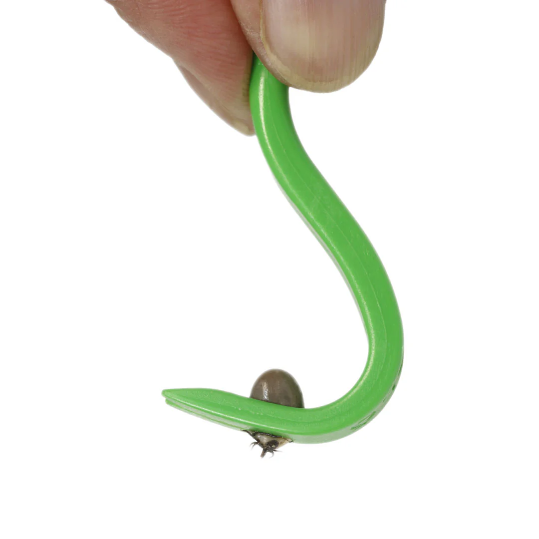 Pyramid Lyme Disease Tick Test - Image 2